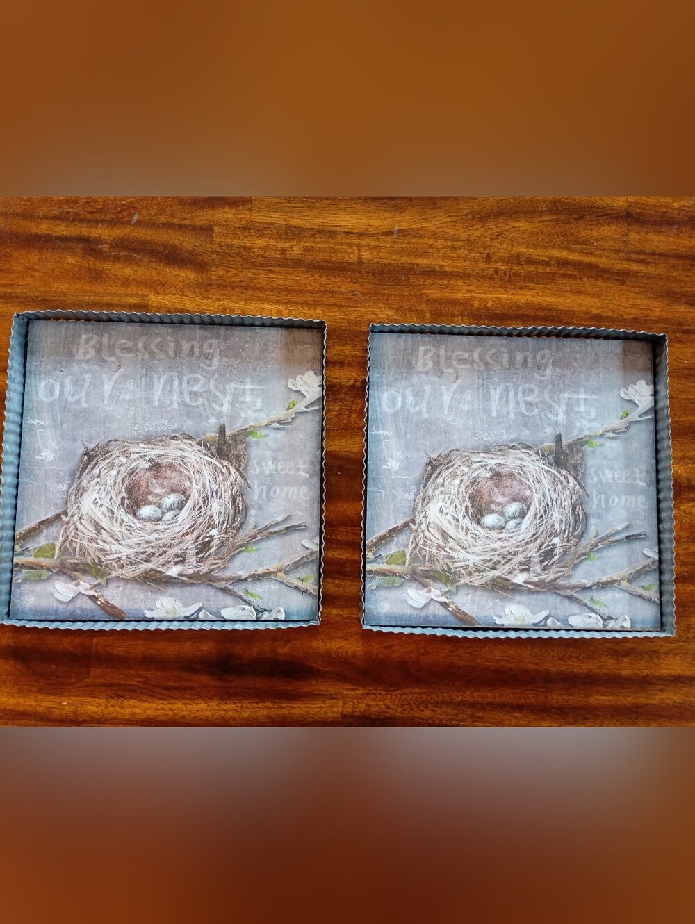 Lone Elm Studios | Metal Art Frame "Blessing Our Nest" Wall Plaque | Set of 2